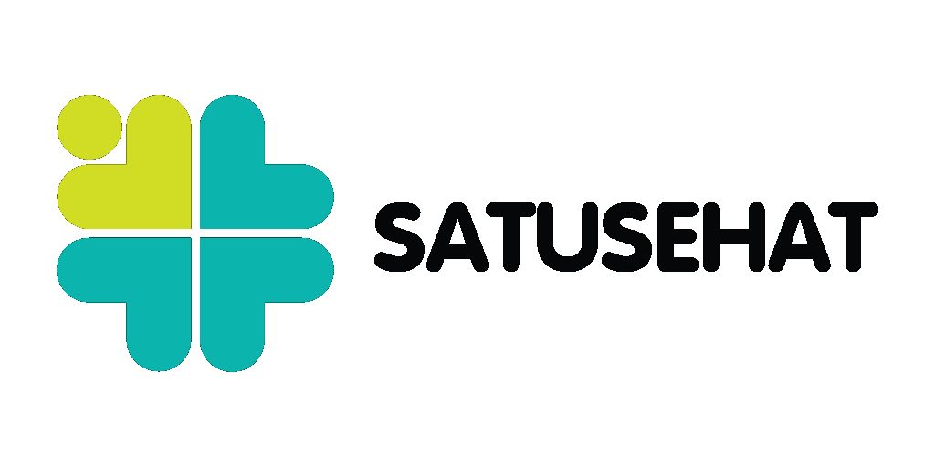 Profil Penyedia Sistem SATUSEHAT